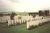 <a href='http://www.findagrave.com/cgi-bin/fg.cgi?page=cr&GSln=negroponte&GSbyrel=in&GSdyrel=in&GSob=n&GRid=20140092&CRid=2179709&'>Puchevillers British Cemetery, Somme, Picardy, France</a>